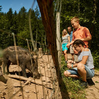 Wildgehege Bad Säckingen