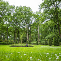 Kurpark Bad Waldliesborn