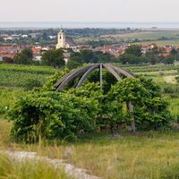 Weinlaubenkuppel
