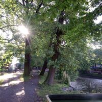 Der Weg zur Insel