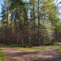 Wegegabelung auf dem Hilschberg