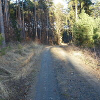 am Rückweg