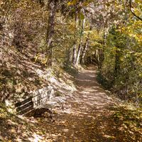 Diemersteig/Hohe Bank im Herbst
