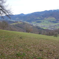 vor der Wiese etwas östlich dem  Adolf-Müller-Weg