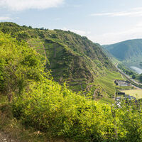 Kreuzweg zur Matthiaskapelle, Blick in die Koberner und Winninger Weinberge