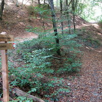 am Wanderweg 7A Eishöhlen Richtung Steinegg