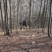 Abstieg, auf Ziehwegen in den Salygraben