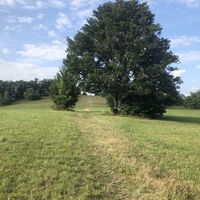 Weg zum Lochenhörnle