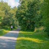 Nordic-Walking-Strecke