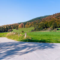Borgholzhausen - auf dem Wanderweg