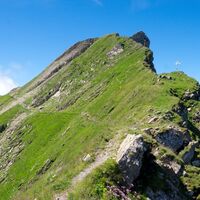Wanderweg im Hang des Grenzchopfs (2193 m)