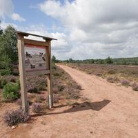 Mehlinger Heide