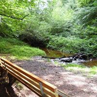 Rast im Saarhölzbachtal