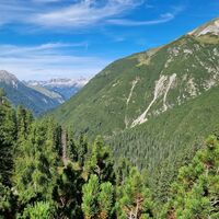 Blick aus dem Dickicht des Aufstiegs.