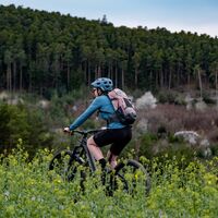 Auf zu den Glashütten Trails