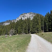 Blick zurück auf den Hochtausing