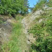 4.0 km Piste durch Wald