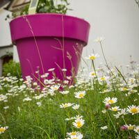 Gartenweg 6
