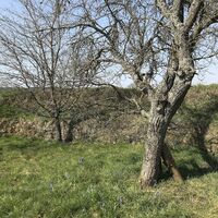 Baalborn - Nähe Kriegerdenkmal