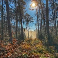 Natur am Höhenflug