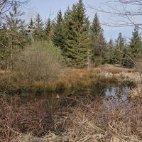 Kobersdorf - Landsee - Kirchschlag