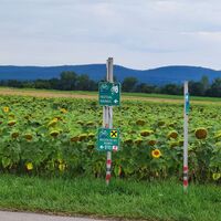 Bike Buddies Burgenland
