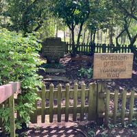 Auf den Spuren des Wildschütz Klostermann | Soldatengräber im Warburger Wald