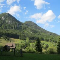 Hinternaßwald - Grenzriegel - Amaißbichl