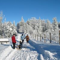 Winterwanderung