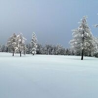 im schnee auf die packeralpe_img_22031510