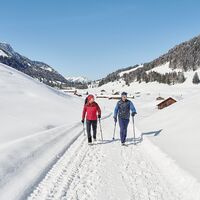Winterwandern in Schönenbach