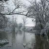 Altrheinarm am Treidlerweg