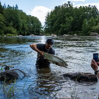Das suchen Angler vom Kymijoki