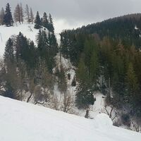 Gupf Schweigerlehen 1276m