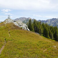 die letzten Meter zum Triebenfeldkogel