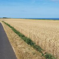 Die Vélomaritime Ault