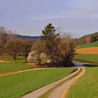 Kirchschlag i. d. Buckl. Welt - Tauchen