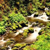 Foto Workshop - Faszination Wasser Ravennaschlucht Hinterzarten