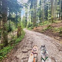 Wanderung Oberwarngau Taubenberg