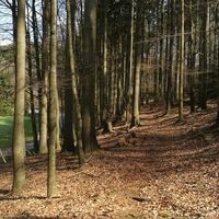 Von Breitenhain zum Wasserschloss Wolfersdorf