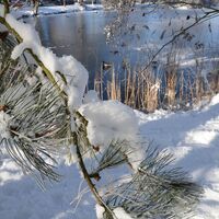 Teich entlang der Gartenträume Wallanlage Gardelegen