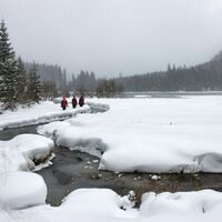 Rund um den Ingeringsee