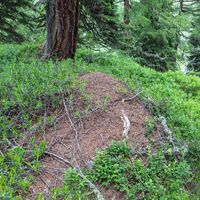 Themensteig durch die Natur