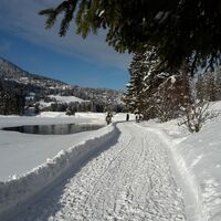 Winterwandern entlang dem Heidsee