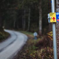 Markierung MTB4