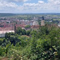 Gundelsheim in Sicht