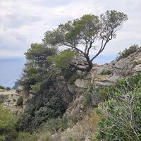 Aussichtspunkt an der Klippe