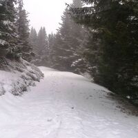 Großebenrunde mit Mariengruß_Letztes Stück vor der Hütte