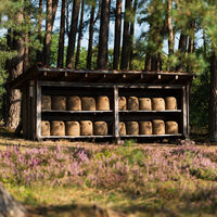 Bienenzaun im Höpen