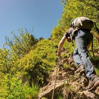 Tritsicherheit gefordert